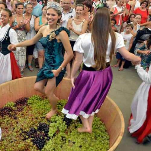 Festa da Uva de Jundiaí: Tradição, Vinhos e Cultura Italiana esperam por você!